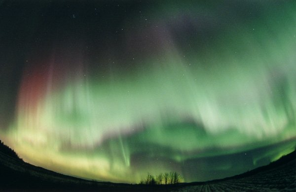 Aurora with discrete arcs